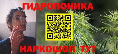 индика Конаково