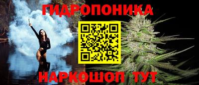 индика Конаково